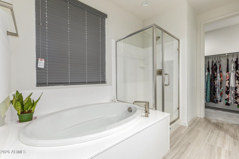 Primary bathroom (downstairs)