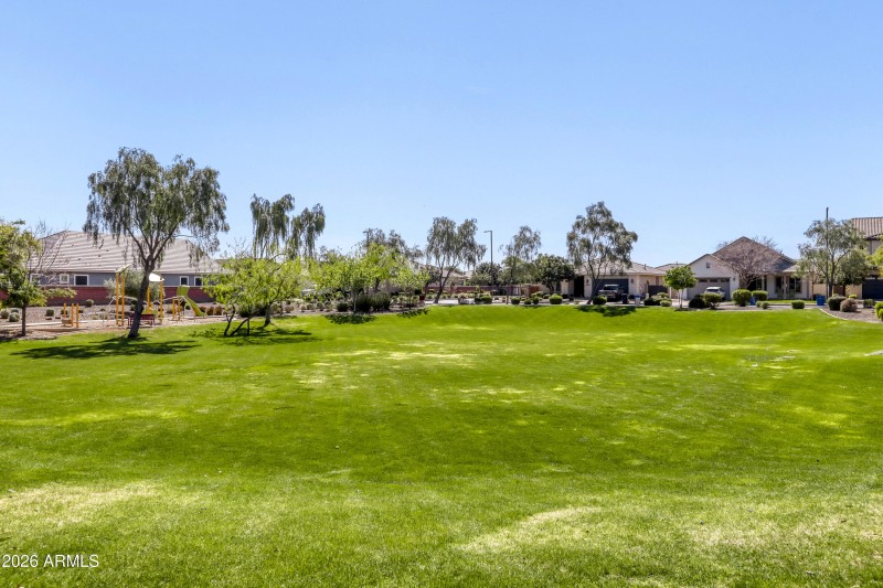 FRONT YARD PARK VIEW