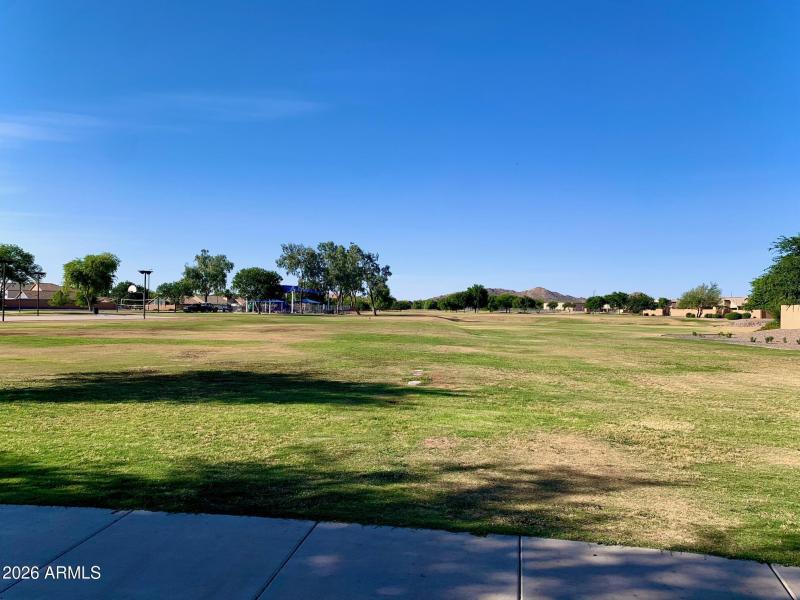 1 LARGE COMMUNITY PARK