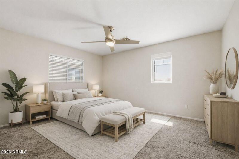 61-4622_Happy_Coyote_STAGED_3