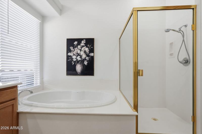 Primary Bath Soaking Tub & Shower
