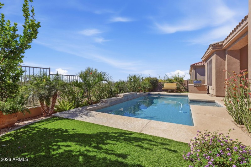 Backyard Turf for Pets