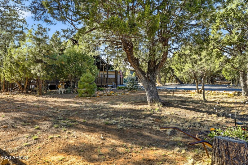 3408PonderosaLp-HeberOvergaard-AZ-3