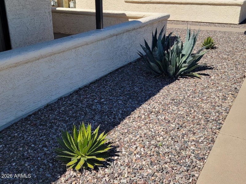 877 in front of condo