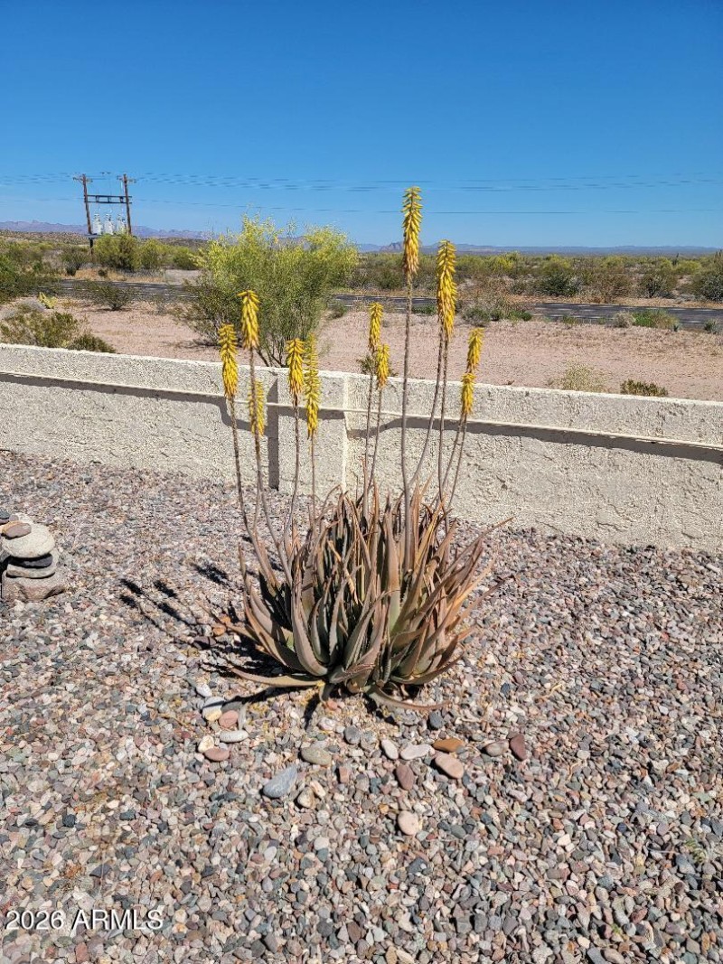 877 landscaping in front