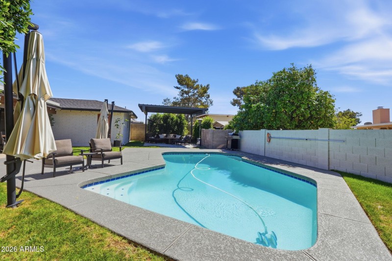 Backyard pool oasis