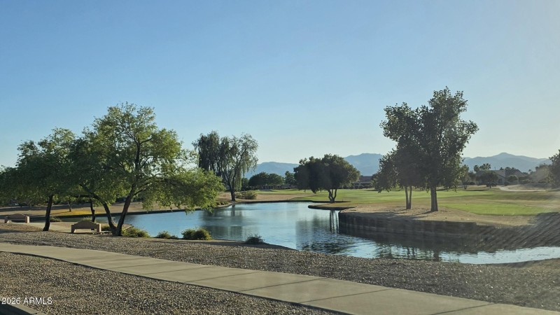 Nearby View off Walking Path