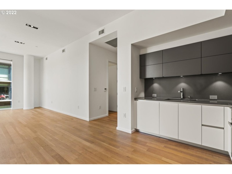 Kitchen/Living Room