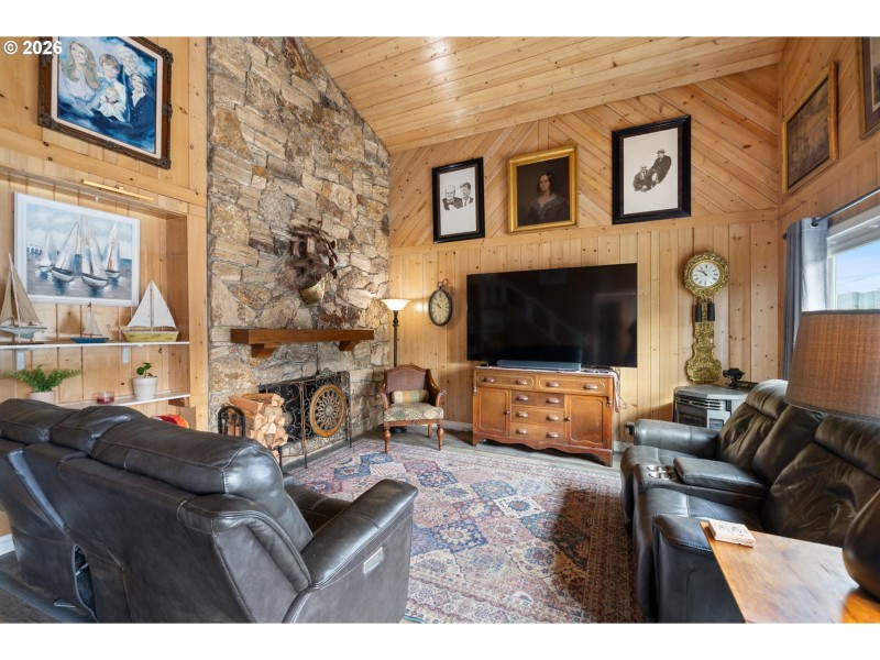 Fireplace Pellet Stove