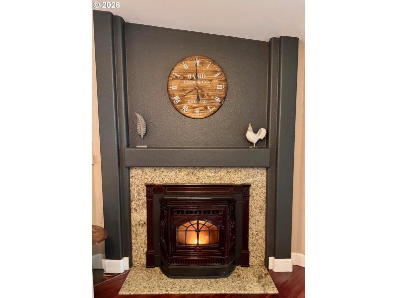 Fireplace Pellet Stove
