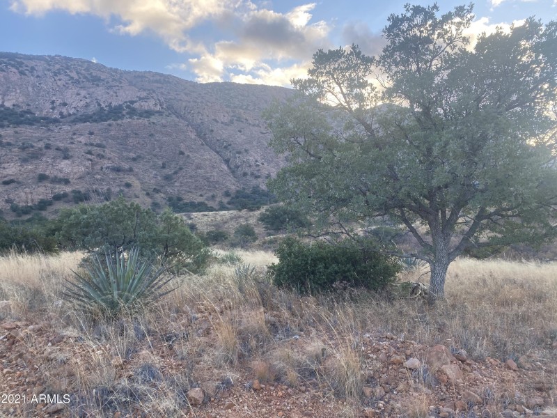 9540F15B-8DF9-4475-85A0-A2A06091B6DB