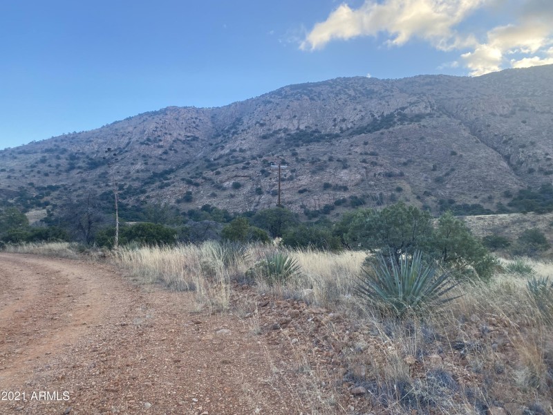 48554090-46A2-434F-8AEE-8AC3F54F28E2