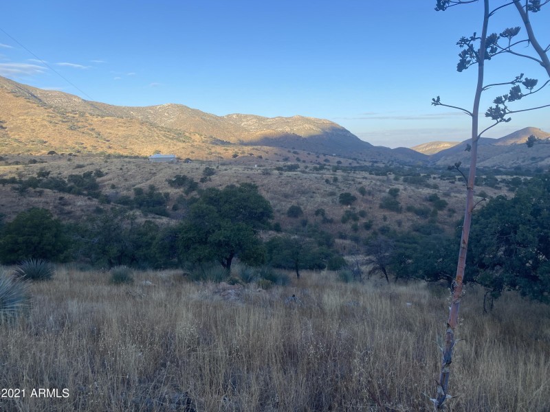 B9949263-D0C5-402C-A3E5-01CBEA5C58AA