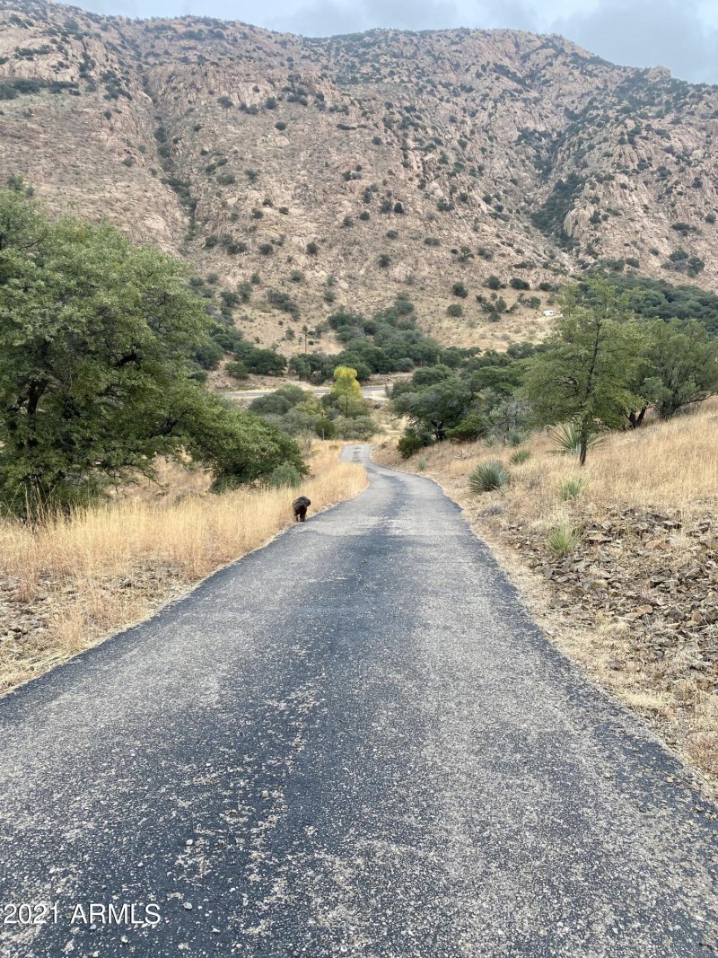 E0F5B7C1-FAAA-429E-8505-A10129706E93