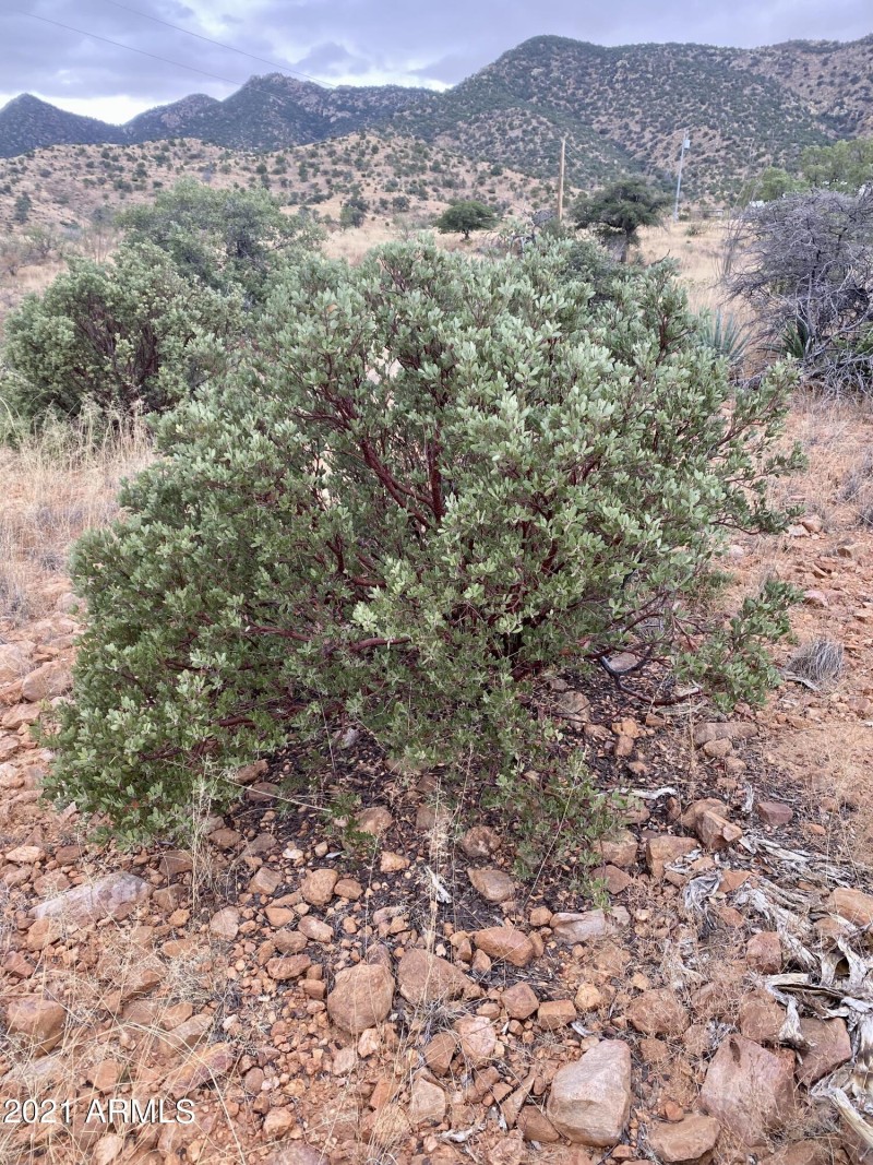 75CF39B0-5E3F-4D98-8256-80E3D34E732F