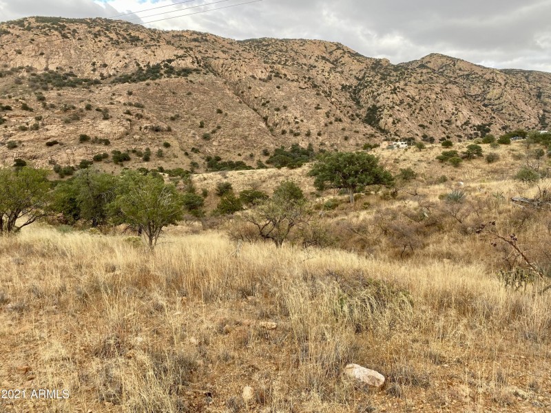 F62E18AA-4A58-43FD-848D-4E37E87C916C