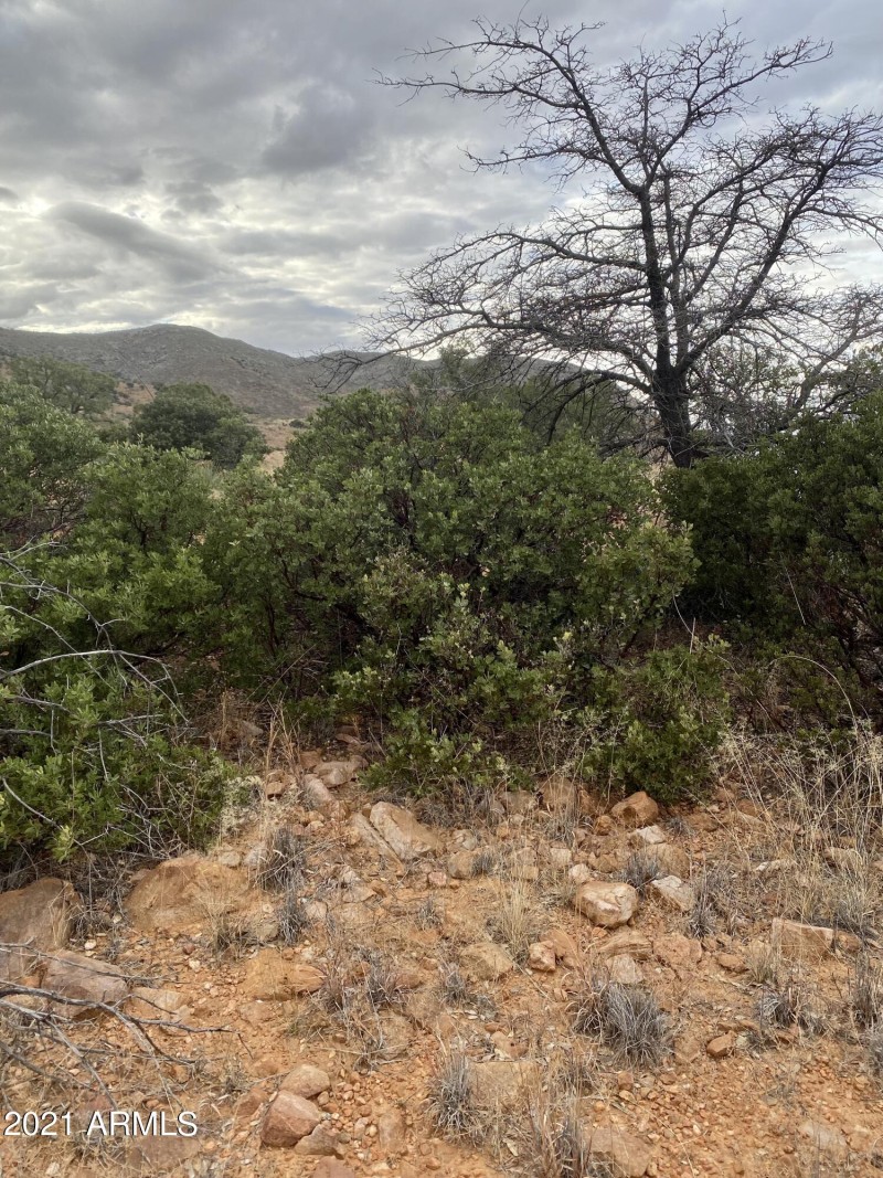 37636455-9678-4119-AB09-47235F19DB4F