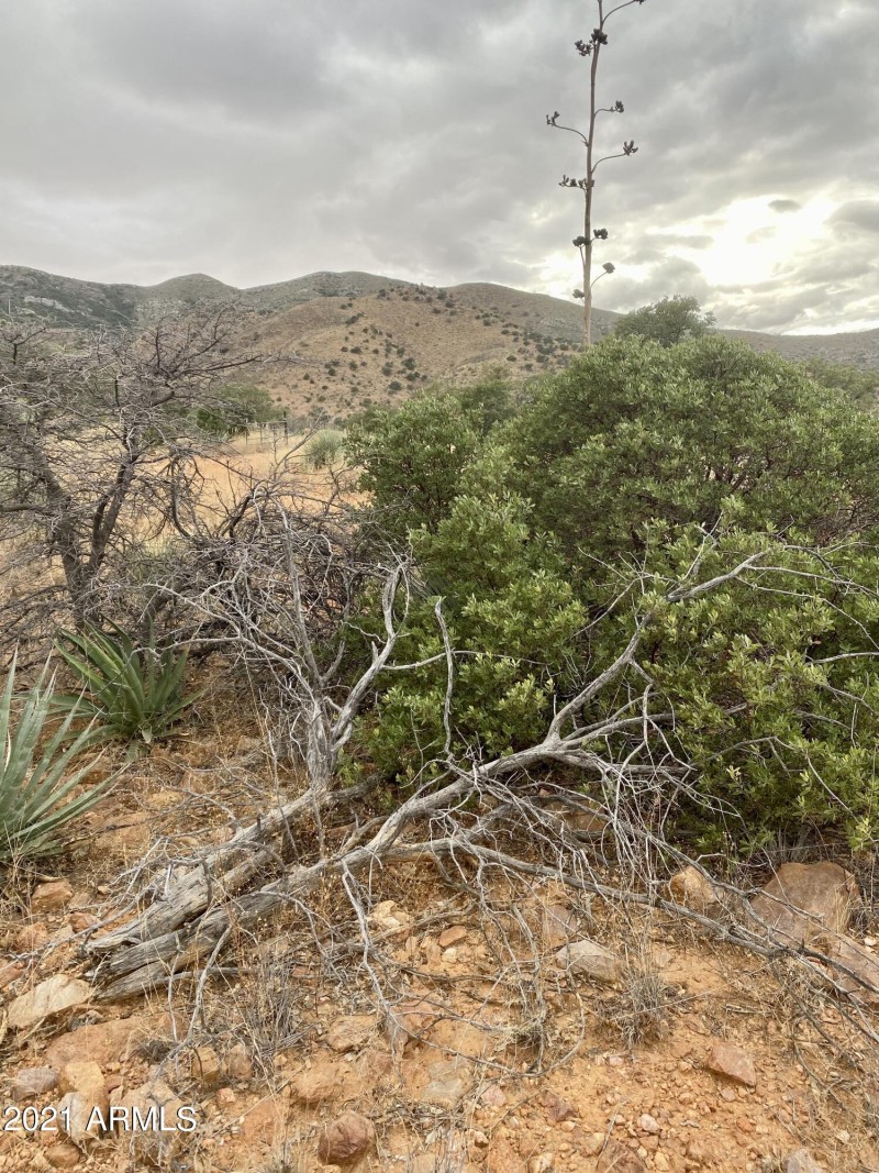 14022300-1CD0-460E-9BF5-1B24043A1E87