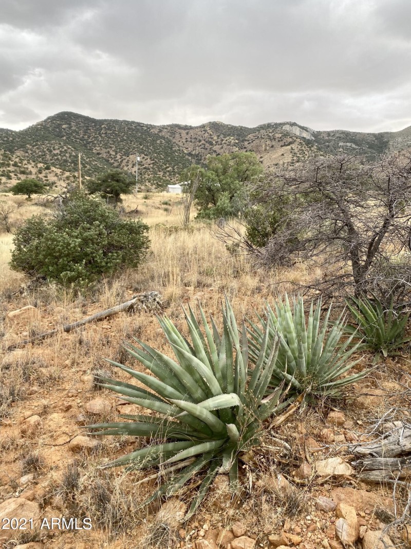 482F5AB3-01CD-4B99-B2CE-D96B1C2F7C0D