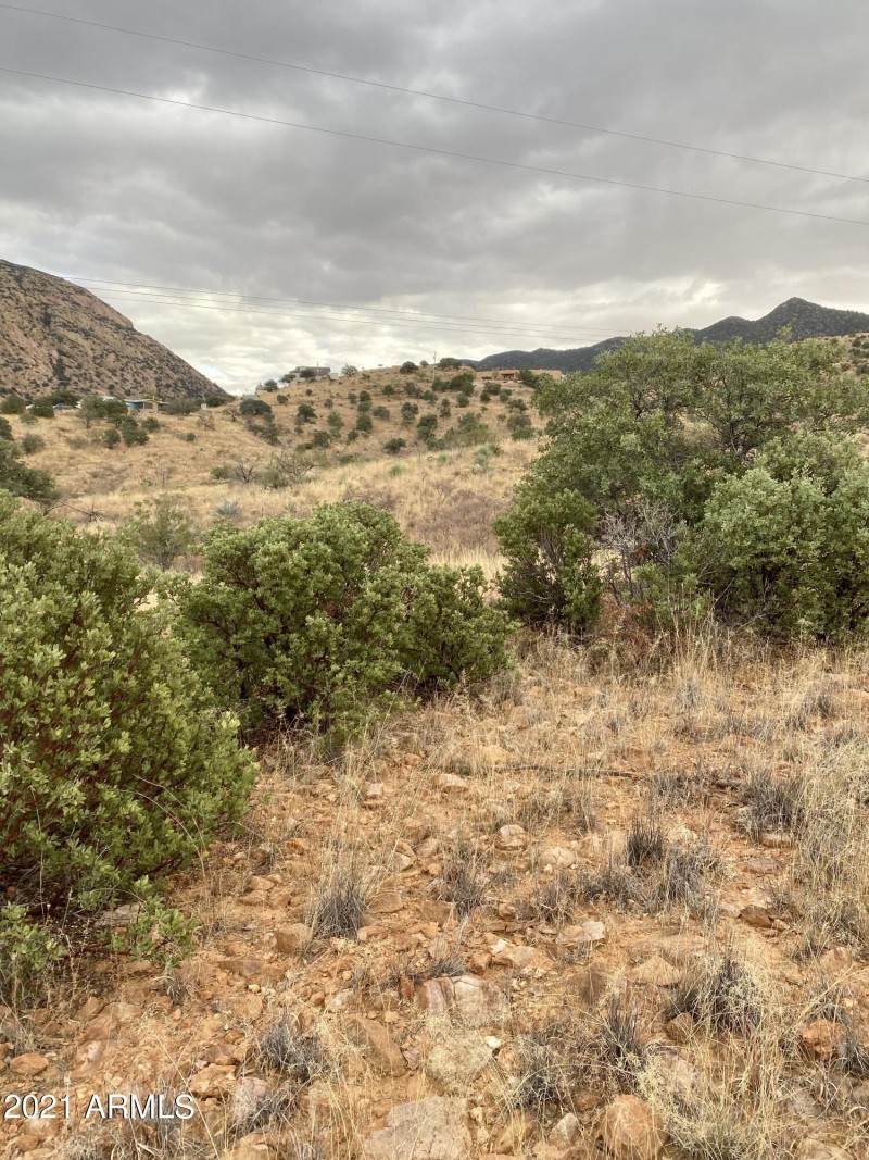 65831667-214F-424C-B4BD-B84B64859747