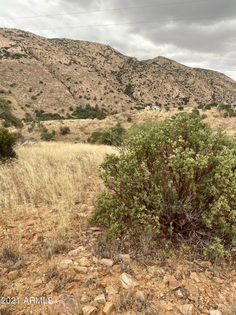 86818115-E7CE-4D61-A8E4-A9D2B59AC91D