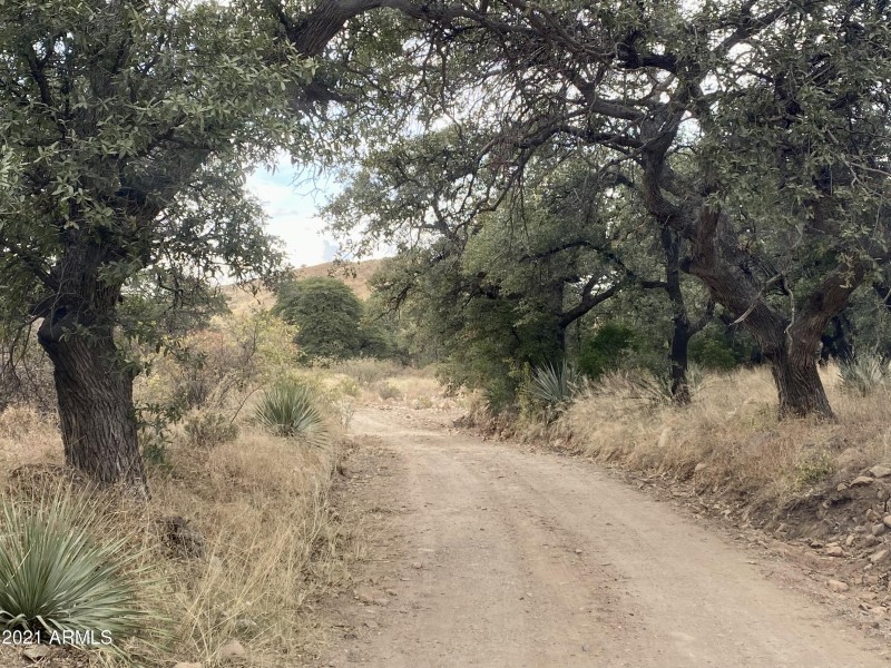 79B2A5C0-956A-4C76-82CC-BE5C1DF8EEB3