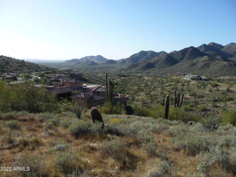 View Into Scottsdale