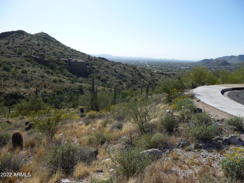 Looking into Scottsdale