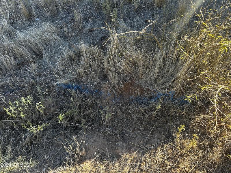 19754 E SADDLE BACK LN