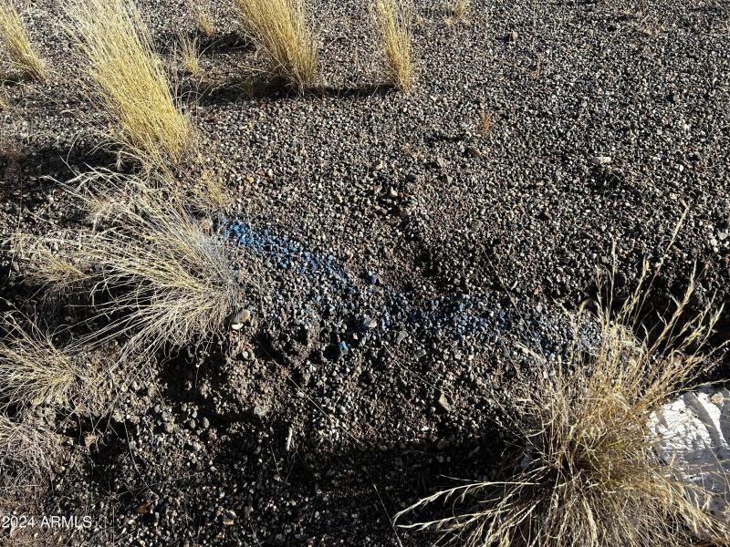 19754 E SADDLE BACK LN