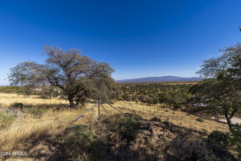 NE corner of fenceline