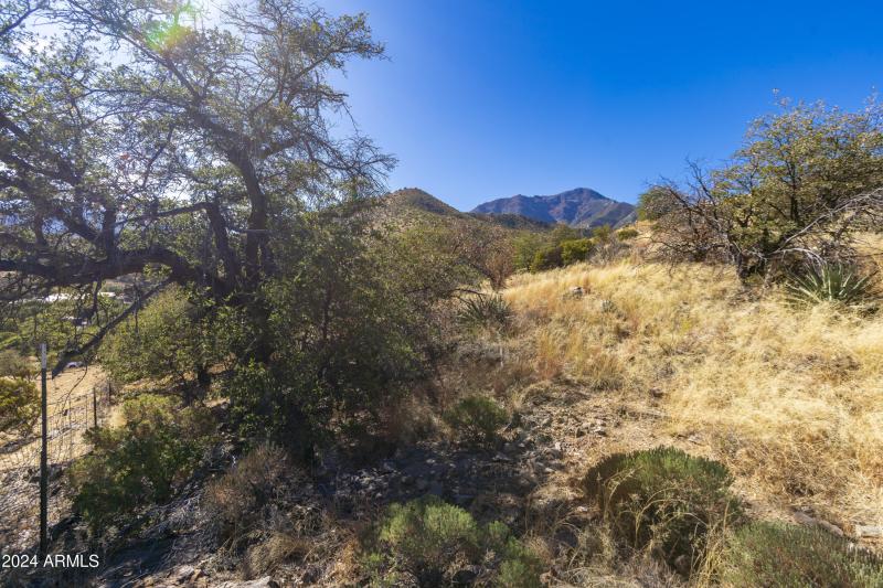 4709 E Dead Bear Draw-15