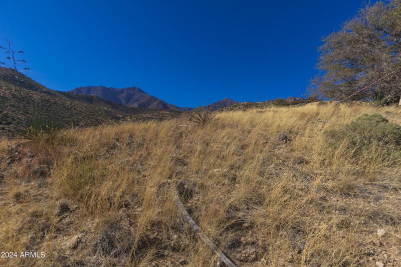 4709 E Dead Bear Draw-19