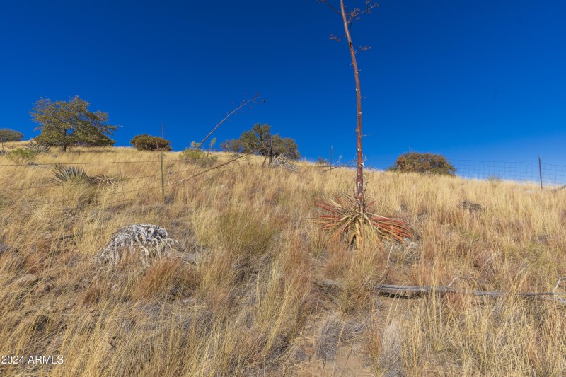 4709 E Dead Bear Draw-22