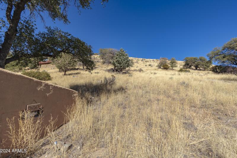 Western fence line, looking north
