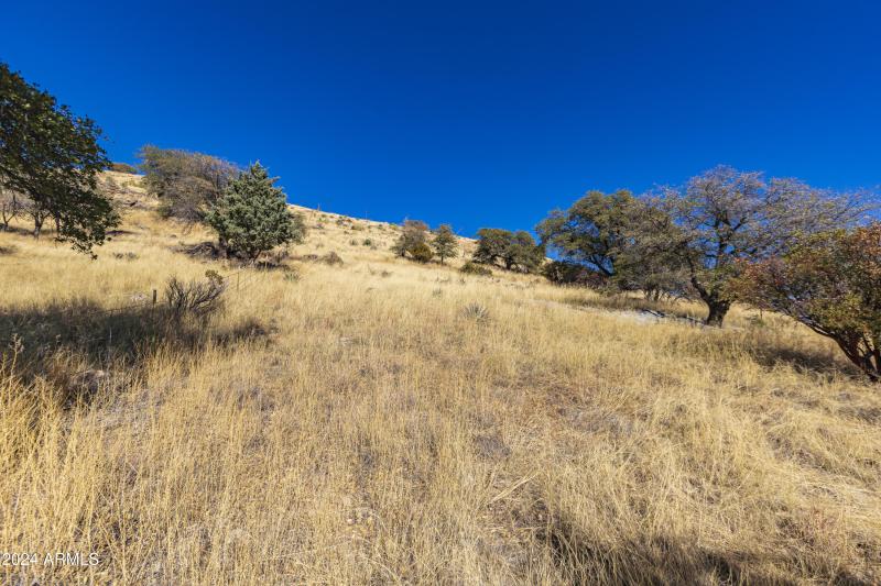 4709 E Dead Bear Draw-38