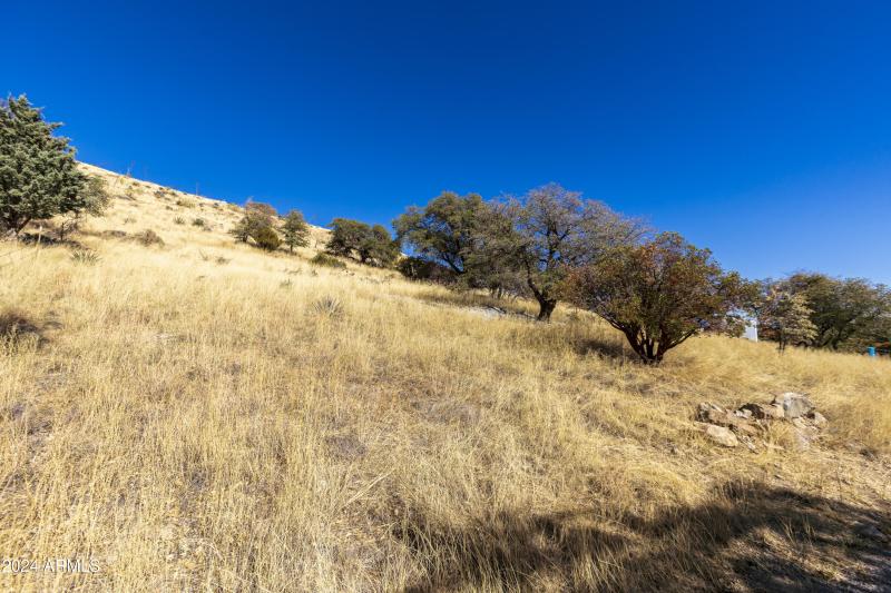 4709 E Dead Bear Draw-39