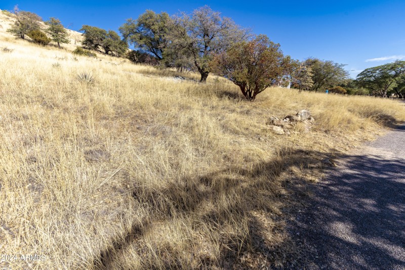 Southern property line