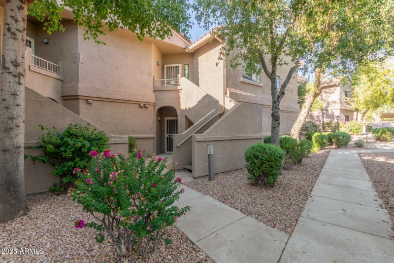 02 - Thompson Peak 15050