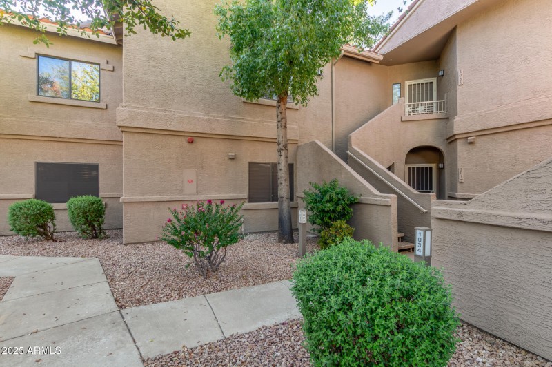 03 - Thompson Peak 15050