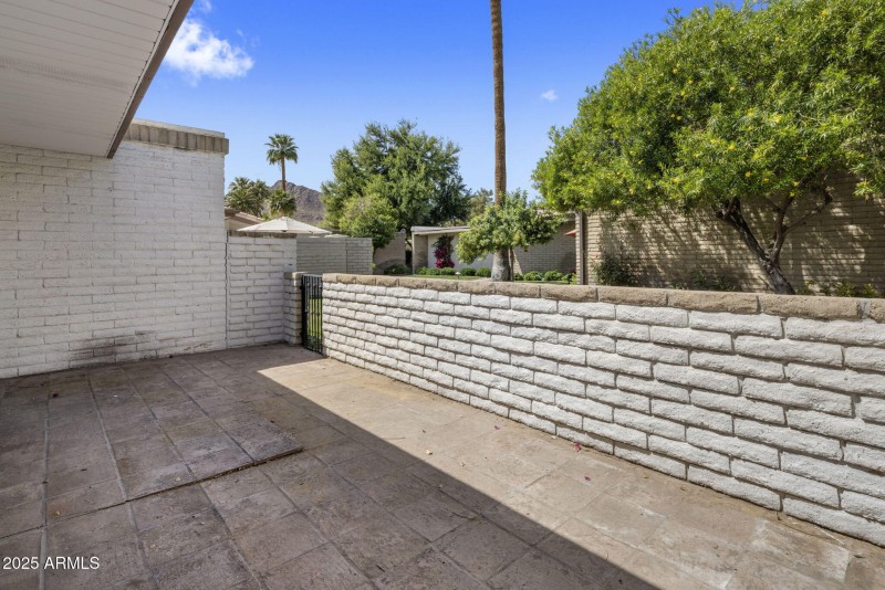 Back Patio