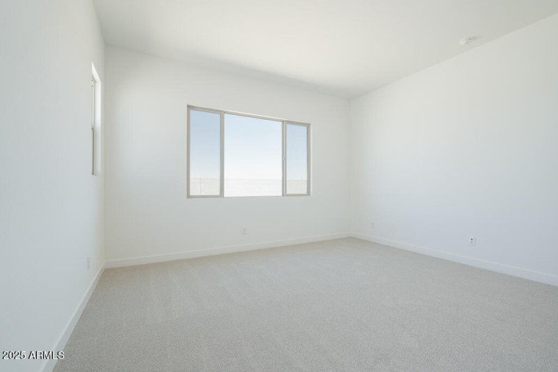 Tri Pointe Homes - Soleo 324 - Primary S