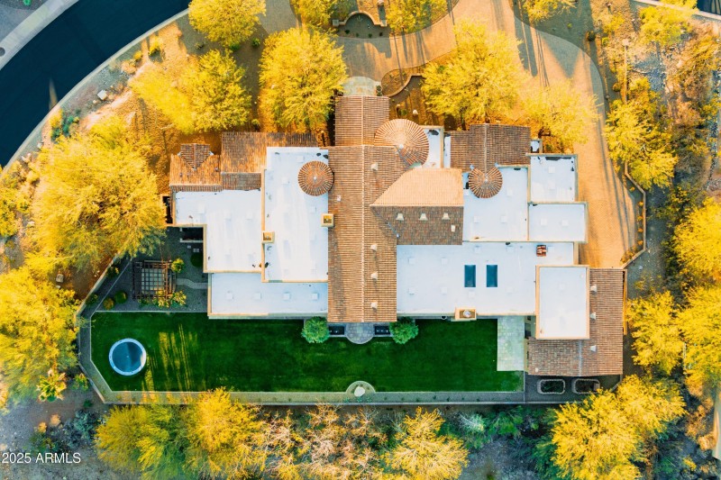 Bird Eye I