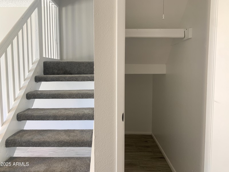 Staircase and Storage
