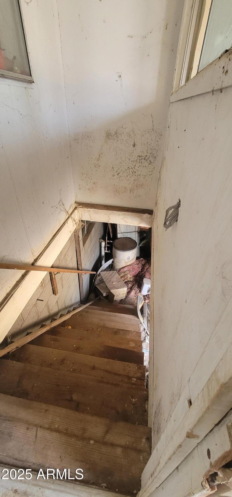 Rear Stairs to Basement