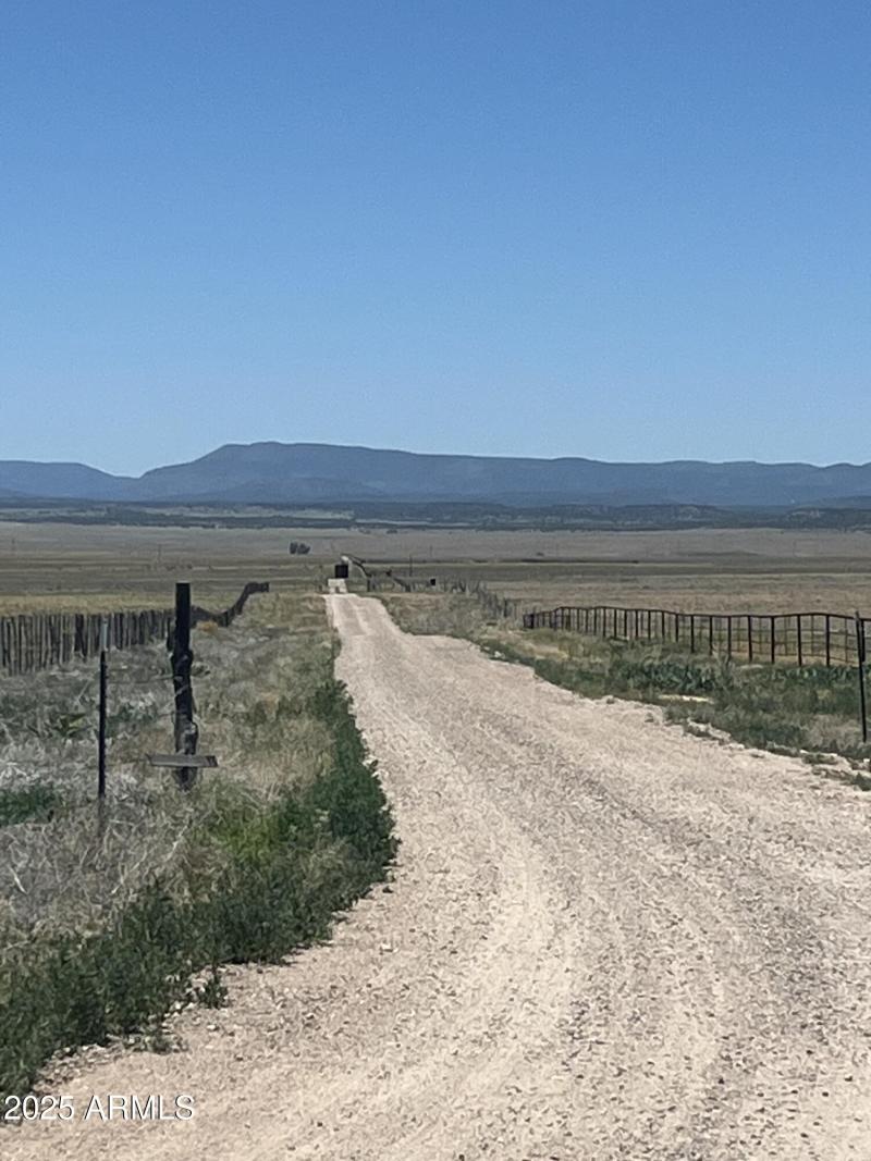 20250614_193939203_iOS