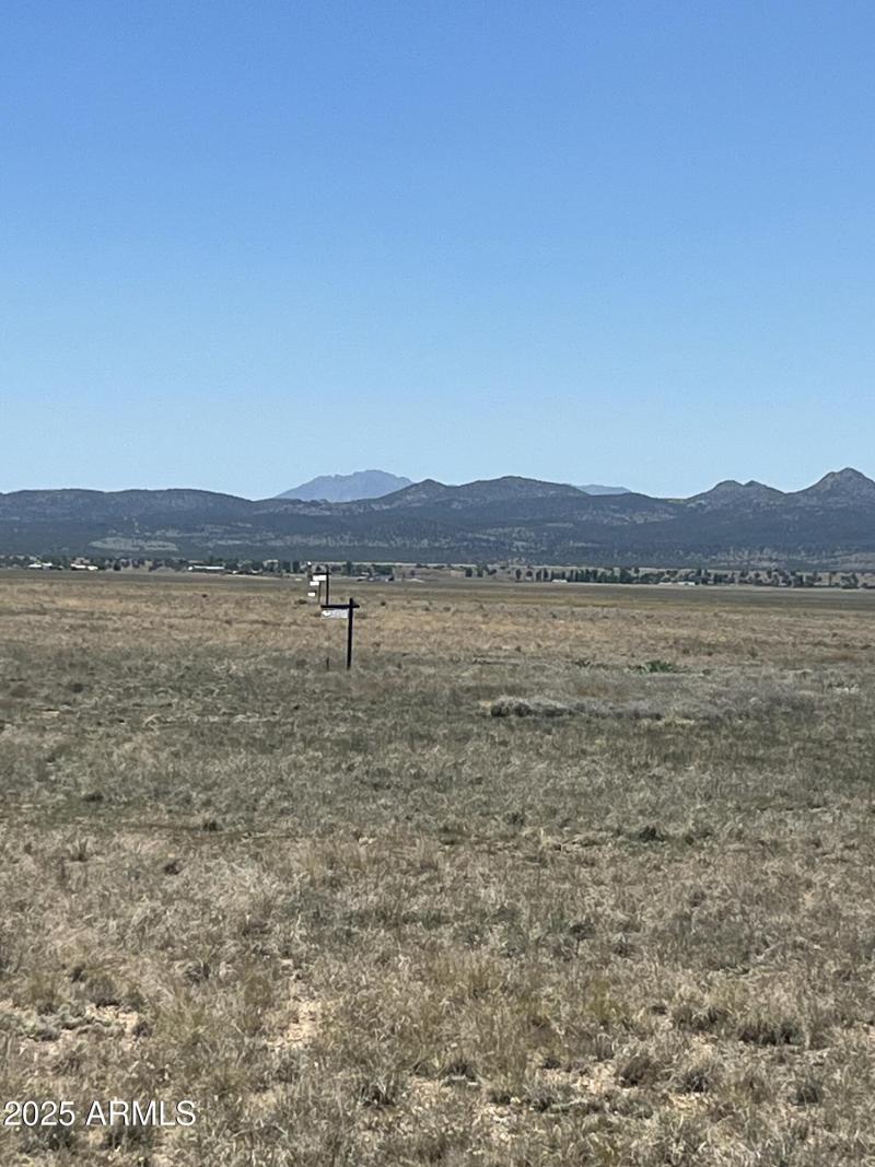 20250614_194534421_iOS