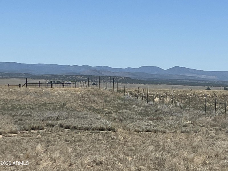 20250614_194600601_iOS