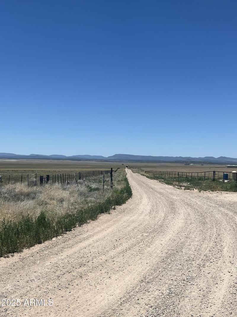 20250614_193932432_iOS