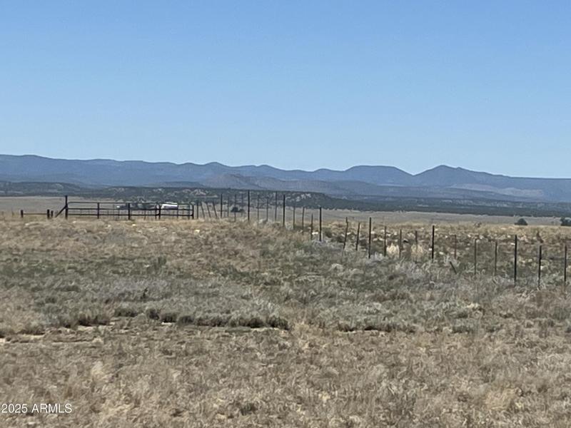 20250614_194600601_iOS